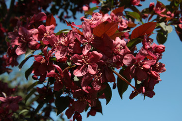 Similar image 1308622