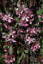 Similar image 1308624