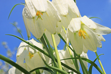 Similar image 1308634