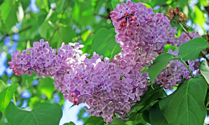 Similar image 1308635