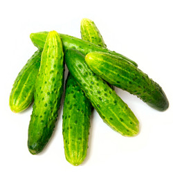 Similar image 1308644