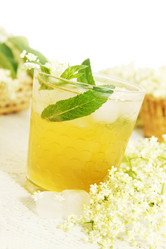 Similar image 1308649