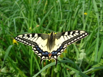 Similar image 1308665