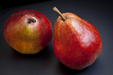 Similar image 1308753