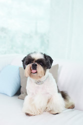 Similar image 1308776