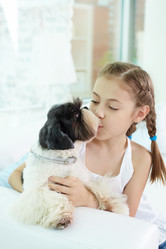 Similar image 1308777