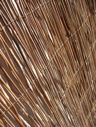 Similar image 1308846