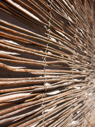 Similar image 1308847