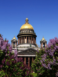 Similar image 1308848