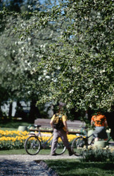 Similar image 1308849