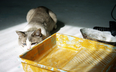 Similar image 1308851