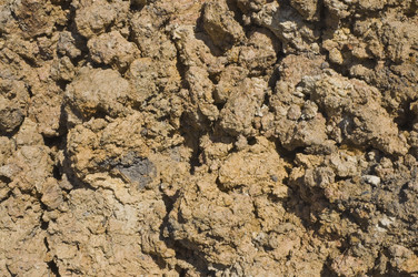 Similar image 1308855