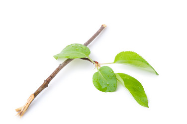 Similar image 1308914