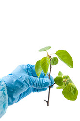 Similar image 1308919