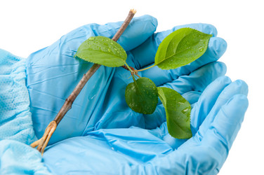 Similar image 1308920