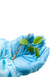 Similar image 1308921