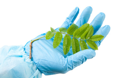 Similar image 1308922