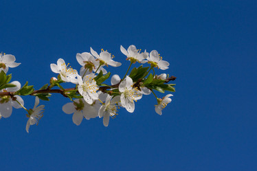 Similar image 1308926