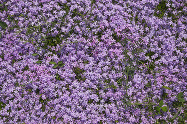 Similar image 1308929