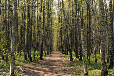 Similar image 1308930