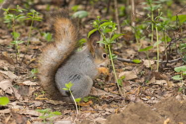 Similar image 1308931