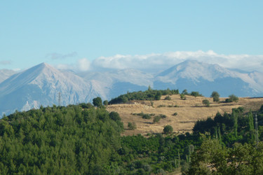 Similar image 1308991