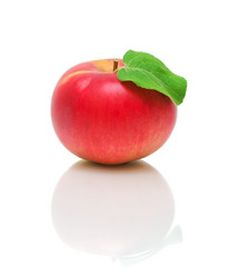 Similar image 1309044