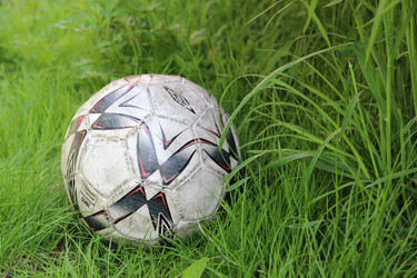 Similar image 1309066