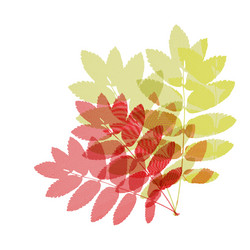 Similar image 1309071