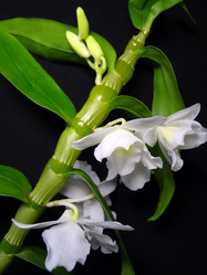 Similar image 1309074