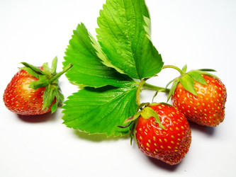 Similar image 1309075