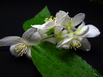 Similar image 1309077