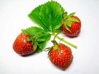 Similar image 1309083