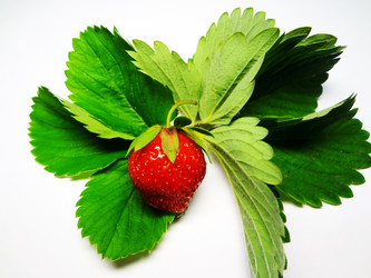 Similar image 1309086