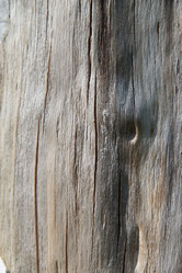 Similar image 1309090