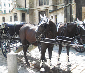 Similar image 1309091