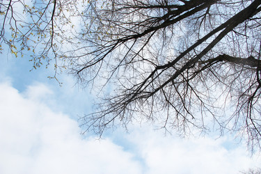 Similar image 1309092