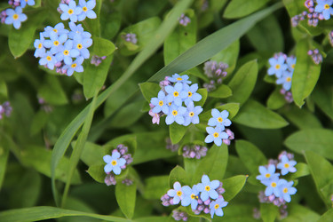 Similar image 1309093