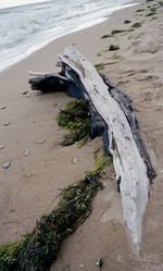 Similar image 1309103