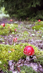 Similar image 1309104