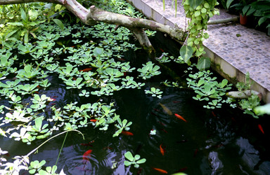 Similar image 1309109