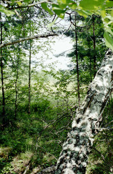 Similar image 1309110