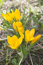 Similar image 1309126