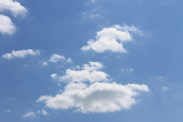 Similar image 1309132