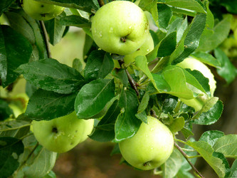 Similar image 1309172