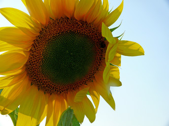 Similar image 1309173