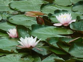 Similar image 1309190