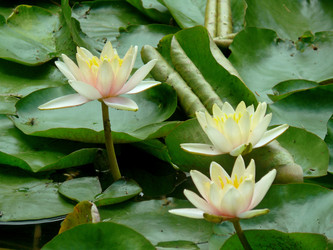 Similar image 1309191