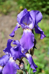 Similar image 1309232