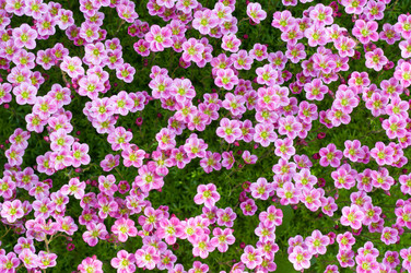 Similar image 1309241